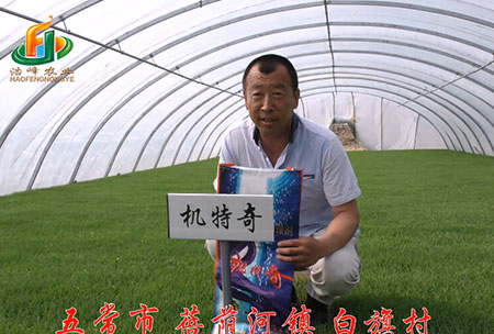 五(wu)常(chang)市-揹廕河(he)-用(yong)戶(hu)迴(hui)訪視(shi)頻