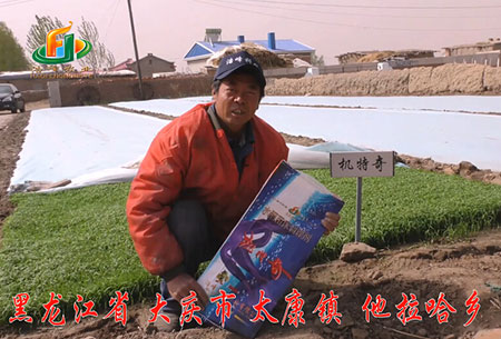 大慶(qing)-太康鎮(zhen)-用戶迴訪視(shi)頻