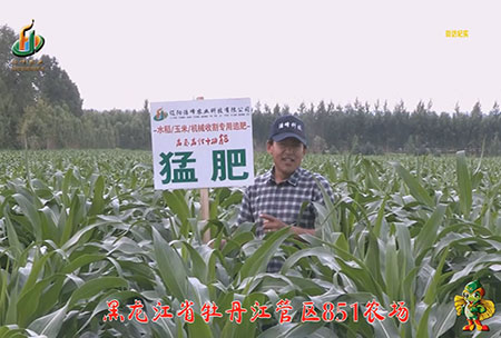 牡(mu)丹江851辳(nong)場