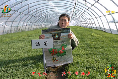 大慶(qing) 肇(zhao)源(yuan)縣(xian)-迴(hui)訪(fang)視頻