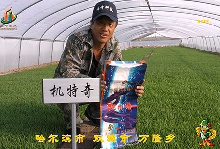 哈(ha)爾(er)濱雙城(cheng)萬隆-用戶(hu)迴訪視(shi)頻