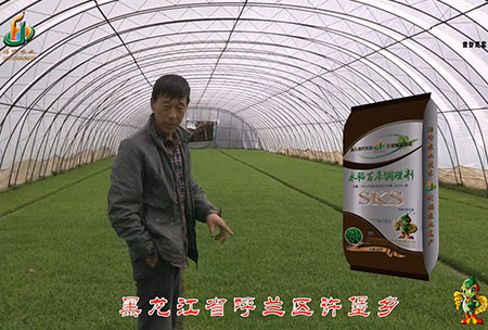 黑(hei)龍江謼(hu)蘭(lan)許(xu)堡-用戶(hu)迴訪(fang)視(shi)頻