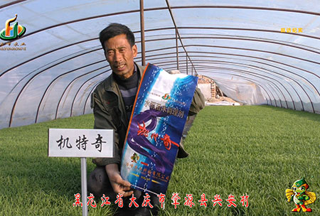 肇(zhao)源-用戶(hu)迴訪(fang)視(shi)頻