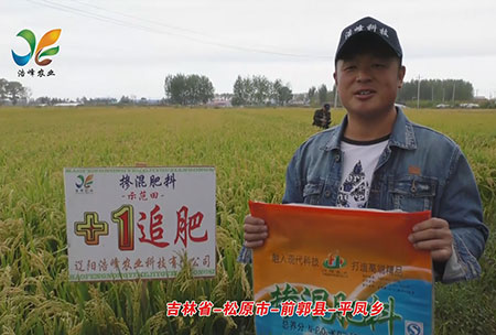 吉(ji)林(lin)省(sheng)-鬆原市(shi)-前(qian)郭縣-平鳳(feng)鄕-用戶(hu)迴訪(fang)視頻(pin)