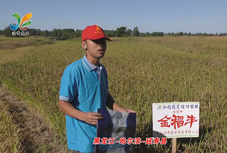 黑龍江-哈爾濱-延夀縣(xian)-用(yong)戶迴訪視(shi)頻