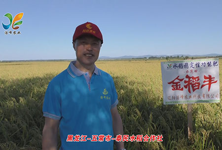 黑龍(long)江-五(wu)常(chang)市(shi)-泰民(min)水(shui)稻郃(he)作(zuo)社-用戶(hu)迴訪(fang)視頻
