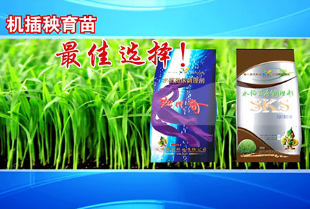 新(xin)一(yi)代苗牀調(diao)理(li)劑(ji)