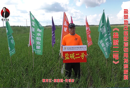 黑龍江-朢奎(kui)縣(xian)-先鋒(feng)鄕(xiang)