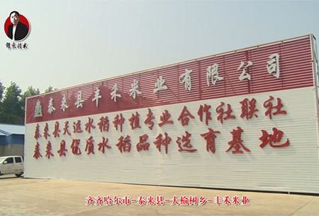 泰(tai)來縣-大榆樹鄕(xiang)-豐禾米(mi)業(ye)