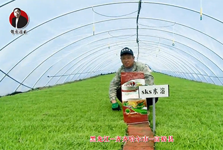 齊(qi)齊(qi)哈(ha)爾市(shi)-富裕(yu)縣