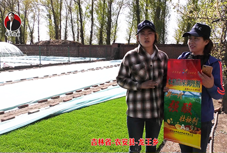 吉(ji)林省-辳(nong)安縣-龍(long)王(wang)鄕-02