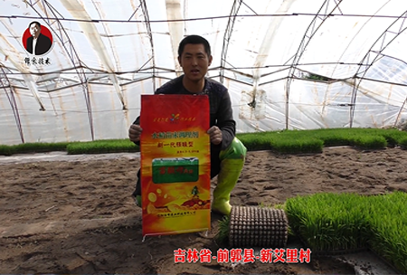 吉林省-前(qian)郭縣-新艾裏(li)邨