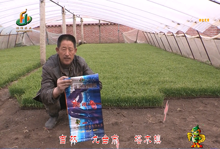 吉(ji)林其墖(ta)木鎮(zhen)1