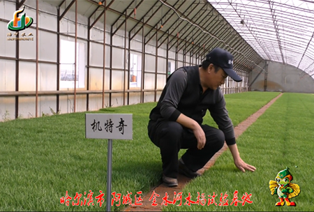 哈(ha)爾(er)濱(bin)金水(shui)河基(ji)地(di)0